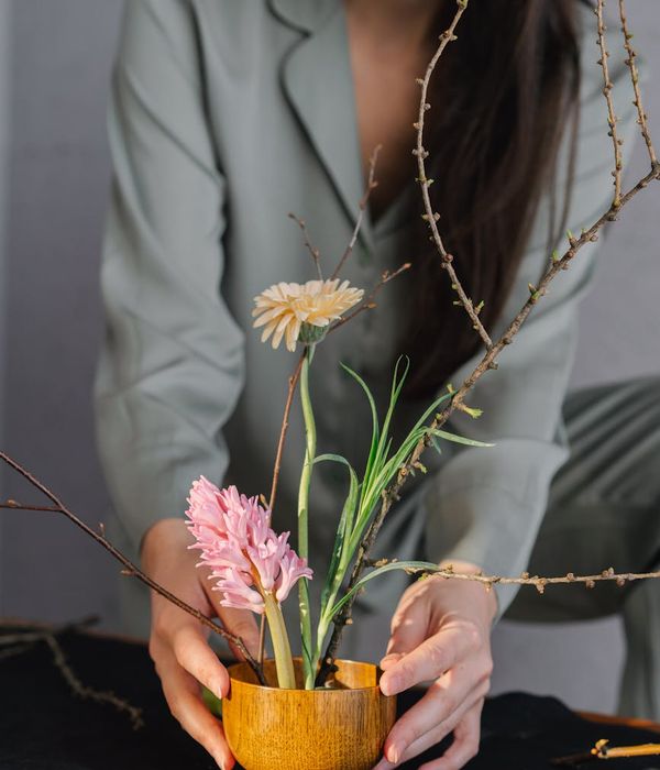 Woman in a calming yoga pose in a softly lit room with plants.